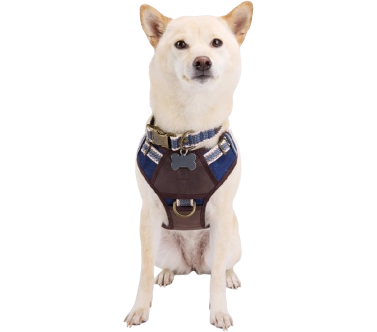 Denim Dog Harness Large