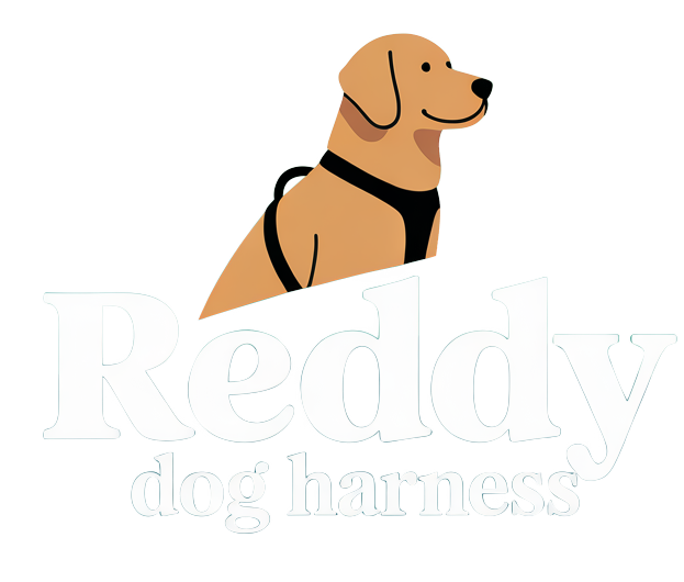 Ready Set Offical Website